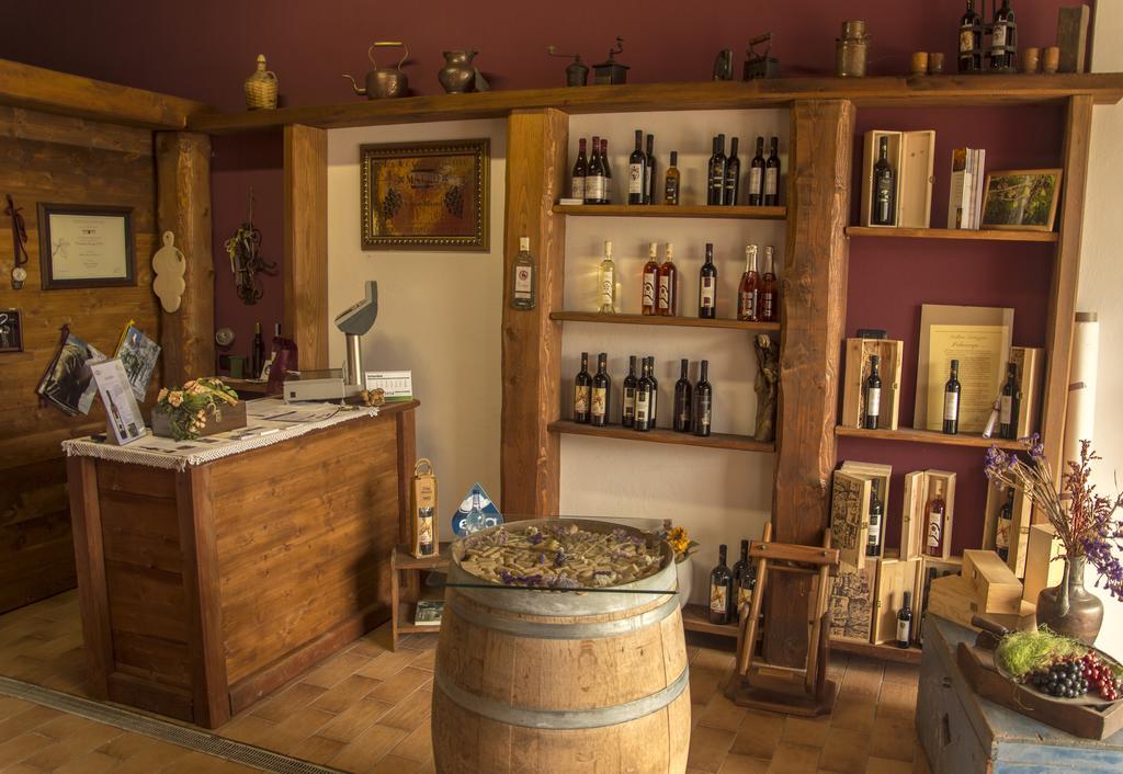 萨卢佐Agriturismo Il Nido Di Bacco别墅 外观 照片