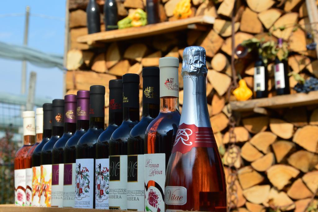 萨卢佐Agriturismo Il Nido Di Bacco别墅 外观 照片